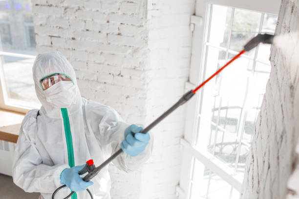 Best Water Damage & Mold Remediation  in Westwood, NJ