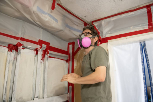 Best Biohazard Mold Removal  in Westwood, NJ