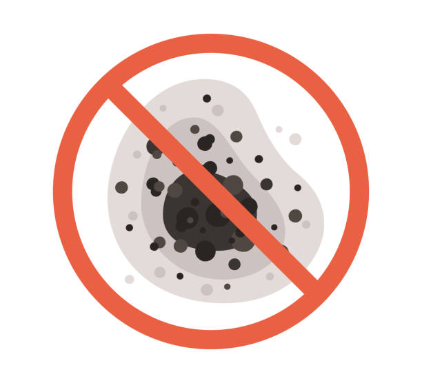 Best Dehumidification Services  in Westwood, NJ