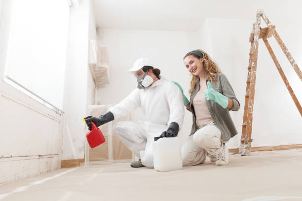 Dehumidification Services in Westwood, NJ