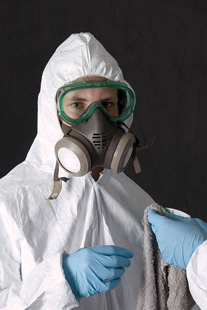 Best Mold Prevention Services  in Westwood, NJ